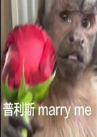 中午吃了牛肉还需要喝蛋白粉吗